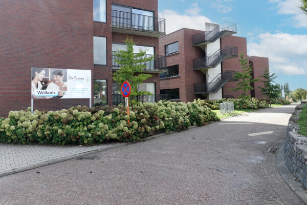 De Pastorij Assistentiewoningen Denderhoutem